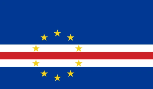 USA Flag