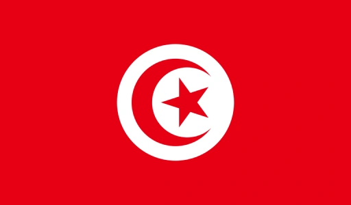 USA Flag