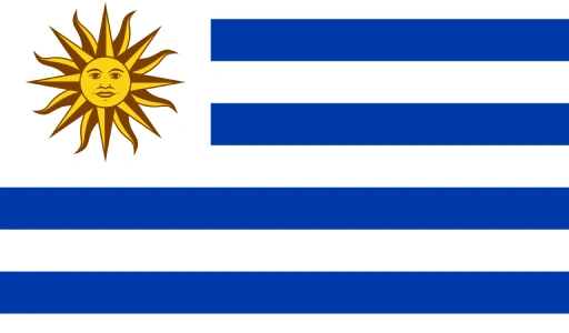 USA Flag
